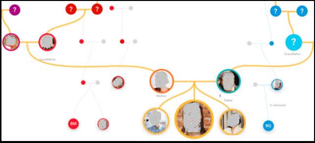 your calculated 23andme family tree a