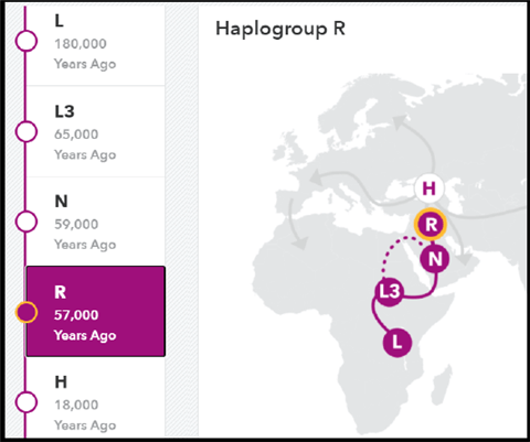 interactive map of the R haplogroup