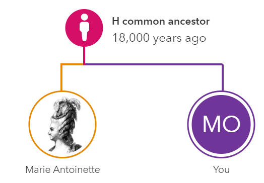 haplogroup report showing relationship with marie antoinette