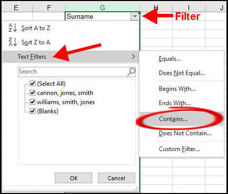 filter drop down with text filters highlighted