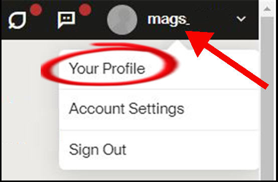 account dropdown menu with highlighted profile item