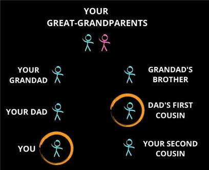 tree diagram of relationship to the first cousin of your father